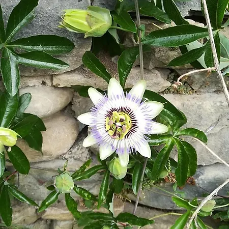 Casa La Abadia De Antin Apartament *