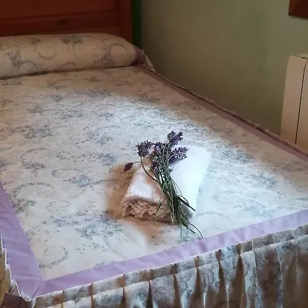 Casa La Abadia De Antin * Liguerre de Ara