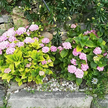 Casa La Abadia De Antin Apartament *