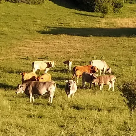 Apartament Casa La Abadia De Antin *