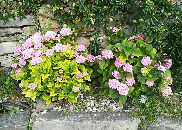 Casa La Abadia De Antin Lägenhet *